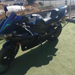 YZF-R1  2005年式　カナダ仕様の画像
