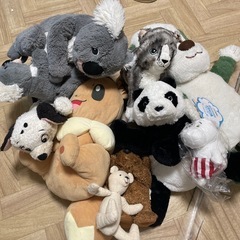 ぬいぐるみ　ムーミン　ディズニー　IKEA ポケモン　わんわん