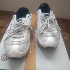 FILA スニーカー 23.5cmの画像