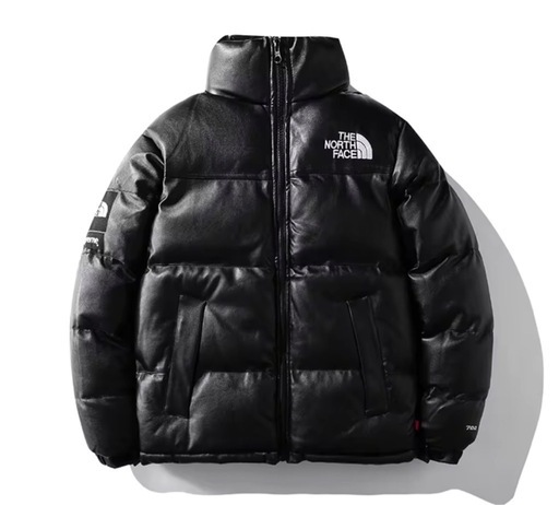 メンズ The north face