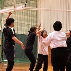 20代よ、集まれ！バレーボールでアツい青春を再び！の画像