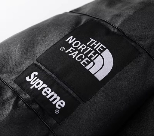 The north face