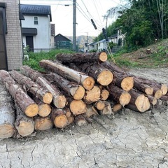 丸太・薪・木材(ヒノキ)