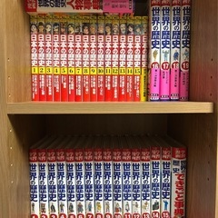 世界の歴史のみ(日本の歴史は売れました)