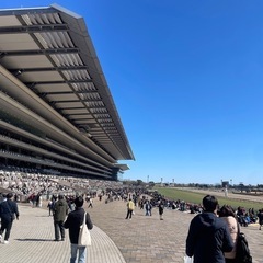 【満員御礼受付終了】競馬仲間募集🏇3月16日中山競馬場スプリングSに行きませんか〜！ - 中野区