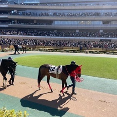 【満員御礼受付終了】競馬仲間募集🏇3月16日中山競馬場スプリングSに行きませんか〜！ - 友達