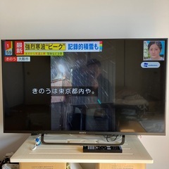 ソニーブラビア