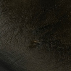 【定価92万】ジョージネルソン ココナッツチェア 1Pラウンジソファの画像