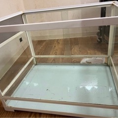 パンテオン ホワイト ＷＨ６０４５ 爬虫類ケージ ペット