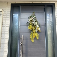 残りわずか。満開です！ フレッシュ ミモザ 1本200円 の画像