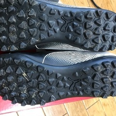 PUMA20cm トレーニングシューズの画像