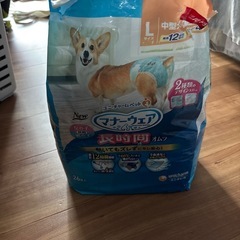 犬用オムツ