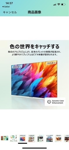 TCL 75V型 4K Google TV 液晶 テレビ 75V6B Wチューナー内蔵 スマートテレビ ネット動画 HDR10対応 Dolby Atoms HDMI2.1 クロームキャスト内蔵 音声検索 ALLM自動低遅延 同時録画 壁かけ対応 2024年モデル