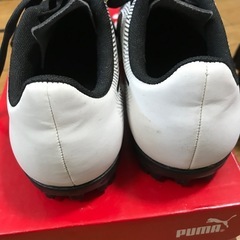 PUMA20cm トレーニングシューズの画像