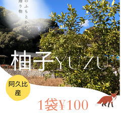 柚子の無人販売’（1袋100円）