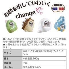 ハムスターの恐竜ハウスの画像