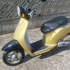 トゥデイ　50cc　