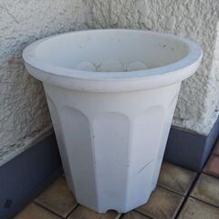 大きな鉢　出来るだけ早いお引き渡し希望