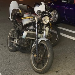NS-1 ほぼ全バラ状態