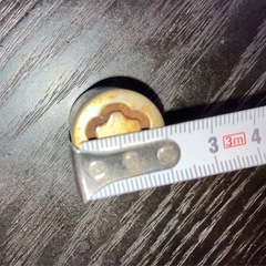 ロックナット マックガードの画像