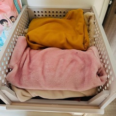 5枚で折り畳み収納ケースの画像