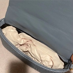ザラ　ショルダーバック　新品未使用
の画像