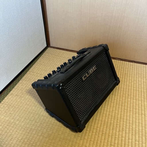 Roland Cube street