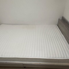 イケヤ　ダブルヘッド
