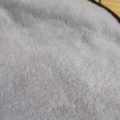 新品未使用ペットブランケットの画像