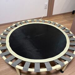 トランポリン　直径102cm　美品：カバーなし