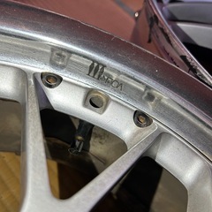 RAYS VOLK 3　
