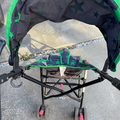 ベビーカー　簡易的なものの画像