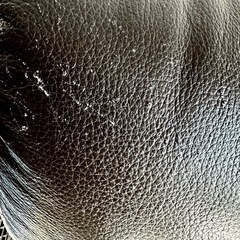 【無料】3人掛けレザーソファーの画像