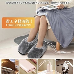 動作確認のみ未使用品　USB暖かスリッパ