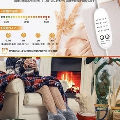 動作確認のみ未使用品　USB暖かスリッパの画像