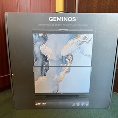 GEMINOS 24インチ　デュアルモニターの画像