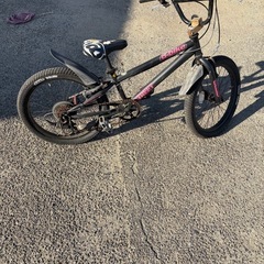 自転車　d-bike　の画像