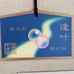 【3名様募集】結婚相談　入会金・年会費無料モニター募集　マリアベ...
