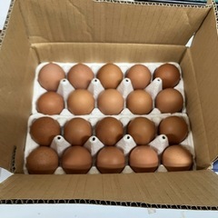 ヤギの餌（下さい）お礼に平飼い新鮮卵差し上げます。の画像