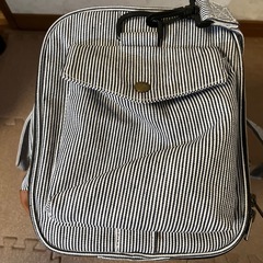 美品‼️小型犬用　　ペットキャリー　お出かけバッグ　の画像