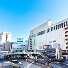weekend in hachioji