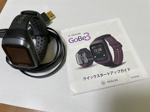 フィットネス、トレーニング HEALBE GoBe3