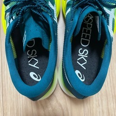 メタスピードスカイ　24.0cmの画像