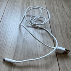 Lightning USB ケーブル