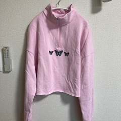 ホリスター　スウェットの画像