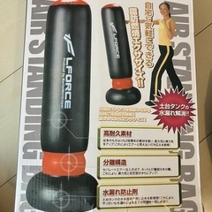 【決定】エアースタンディングバッグ