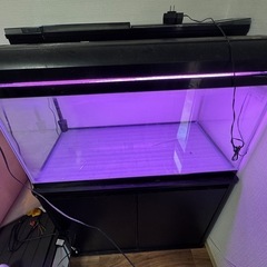 水槽セットの画像