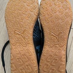 【受け渡し予定者決定のため、問い合わせ不可】＜無料あげます＞【美...