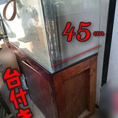 120cm【大型】曲げガラス水槽
【熱帯魚】爬虫類系ペットなどにも☆　　　※特注台つきの画像