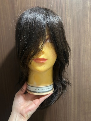 未使用　美容師国家試験　 カットウィッグ　6体セット(クランプ別途